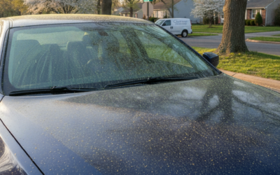 How Does Pollen Season Affect Your Car’s Paint in Gloucester Township and What Can South Jersey Drivers Do to Protect It?