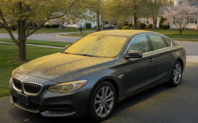 How Does Pollen Season Affect Your Car’s Paint and Exterior in Sicklerville and What Should South Jersey Drivers Do About It?