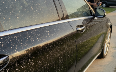 How Does Rain and Hard Water Leave Spots on Your Car’s Paint in Voorhees and What Can South Jersey Drivers Do About It?