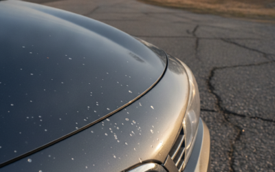 How Does Road Debris and Highway Driving Damage Your Car’s Paint in Gloucester Township and What Can You Do to Stop It?